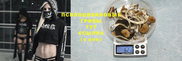 дживик Абаза