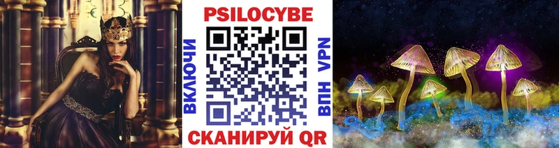 Псилоцибиновые грибы Psilocybe  купить наркотики цена  Арсеньев 